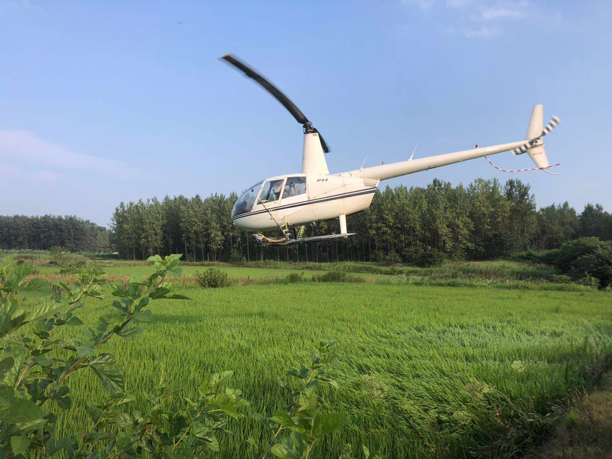 內(nèi)蒙古天羽通用航空有限公司飛機防治小麥